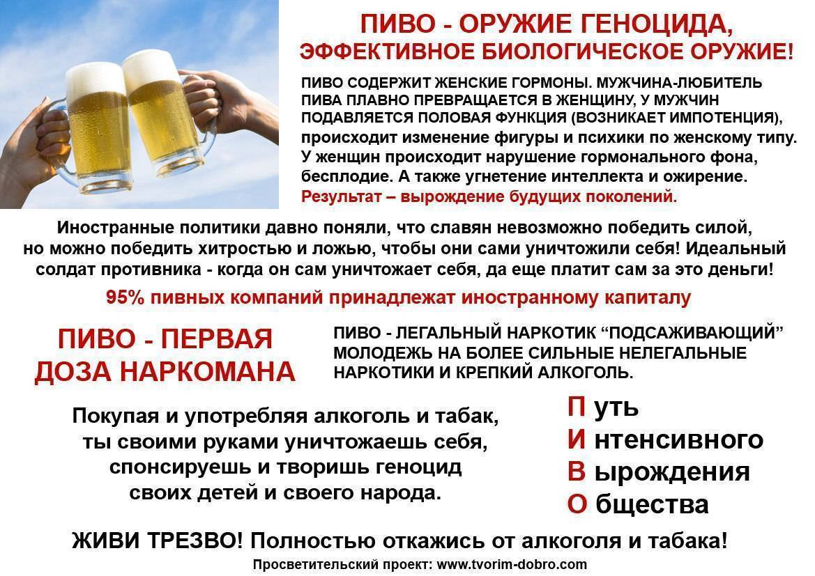 Можно Ли Алкоголь При Правильном Питании