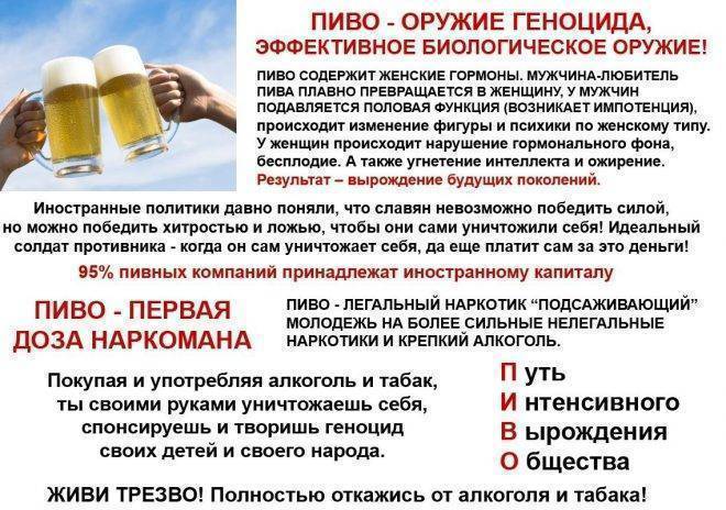 Диета При Которой Можно Пить Пиво