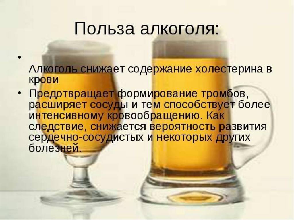 Можно Ли Алкоголь При Правильном Питании