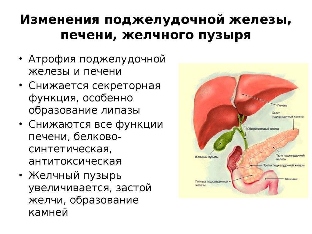 Диета При Болезнях Поджелудочной И Желчного