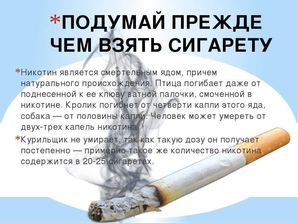 Секс заядлых курильщиков 