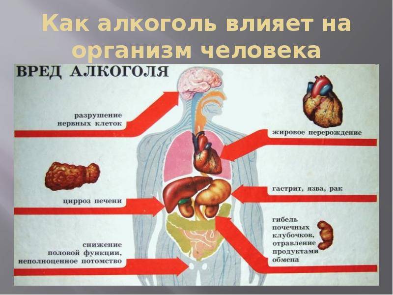 Как Алкоголь Влияет На Лишний Вес