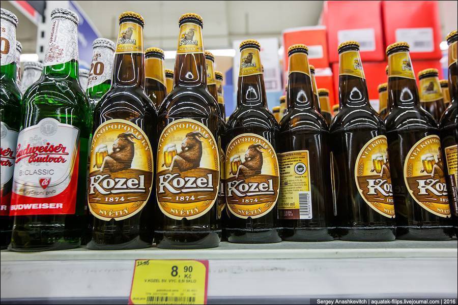 Где Можно Купить Пиво В Москве