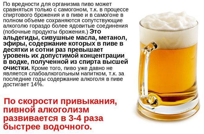 Можно Ли Пить Безалкогольное Пиво На Диете