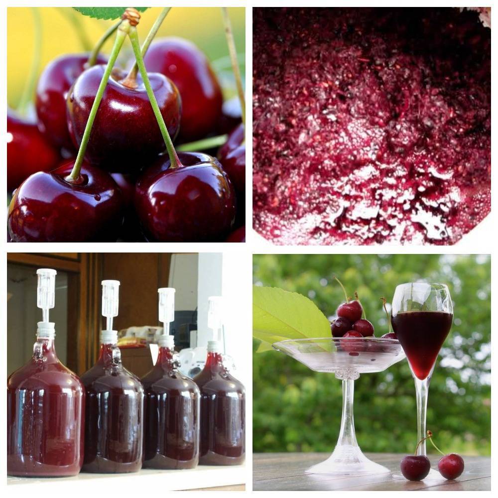 Вино из вишни в домашних условиях — 6 простых пошаговых рецептов