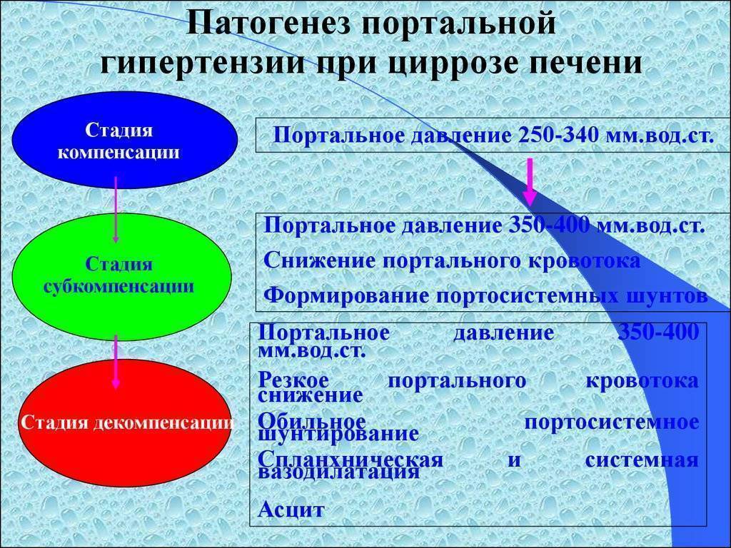 Гипертонии печень. Портальный цирроз печени патогенез. Механизм развития портальной гипертензии при циррозе. Патогенез арительной гипертензия. Патогенез портакавальной гипертензии.