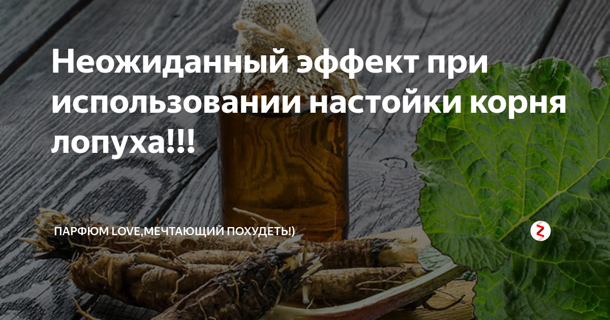 Настойка корня лопуха. Настойка лопуха применение