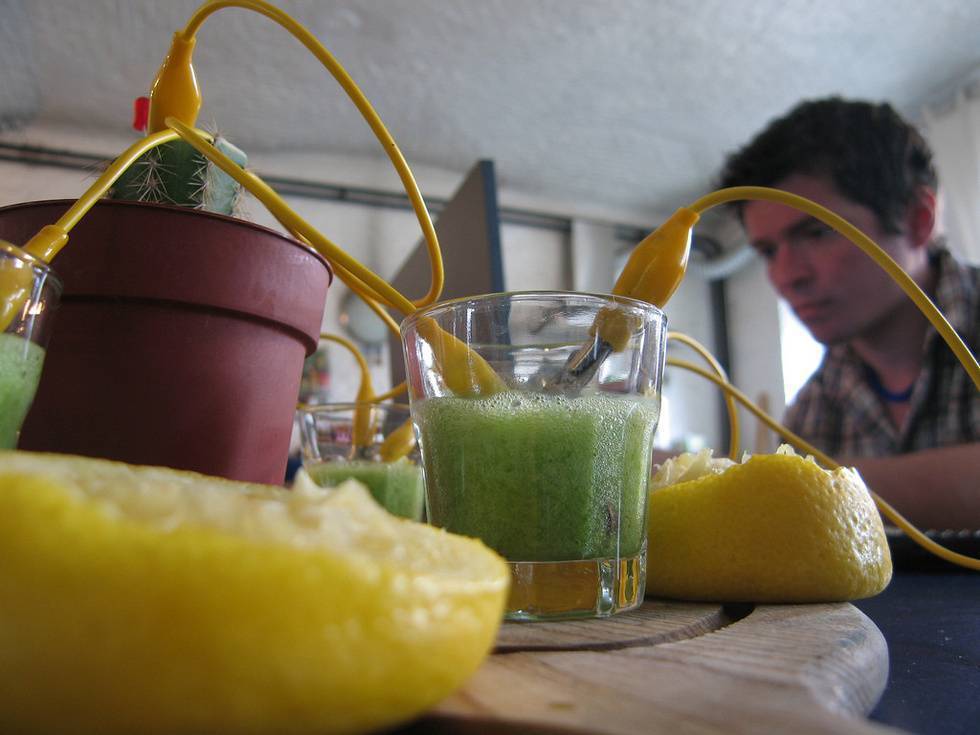 Лимон от похмелья поможет организму справиться с алкогольным отравлением