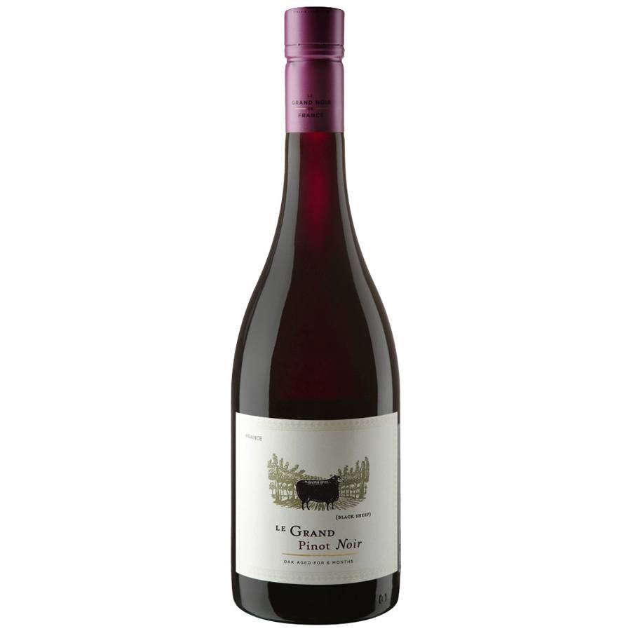 Пино нуар: описание вина из бургундии, разновидности сладкого напитка, сорт винограда и особенности его выращивания