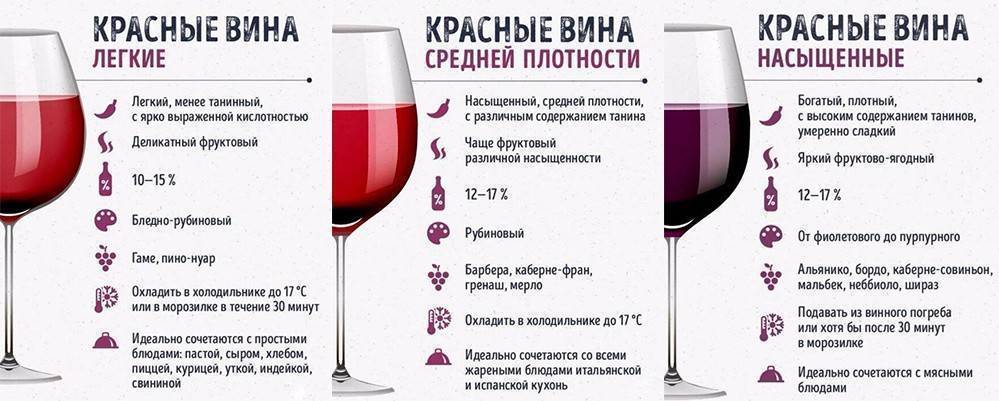 Обзор красных сухих вин