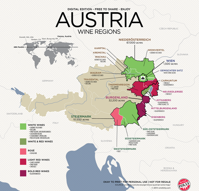 Австрийские вина и их особенности