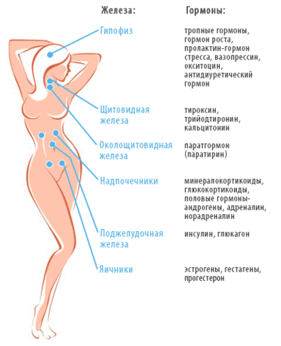 Как повысить гормоны. Что такое гормоны у женщин. Женщины с Ориона. Изменение гормонального фона. Гормон возбуждения у женщин.