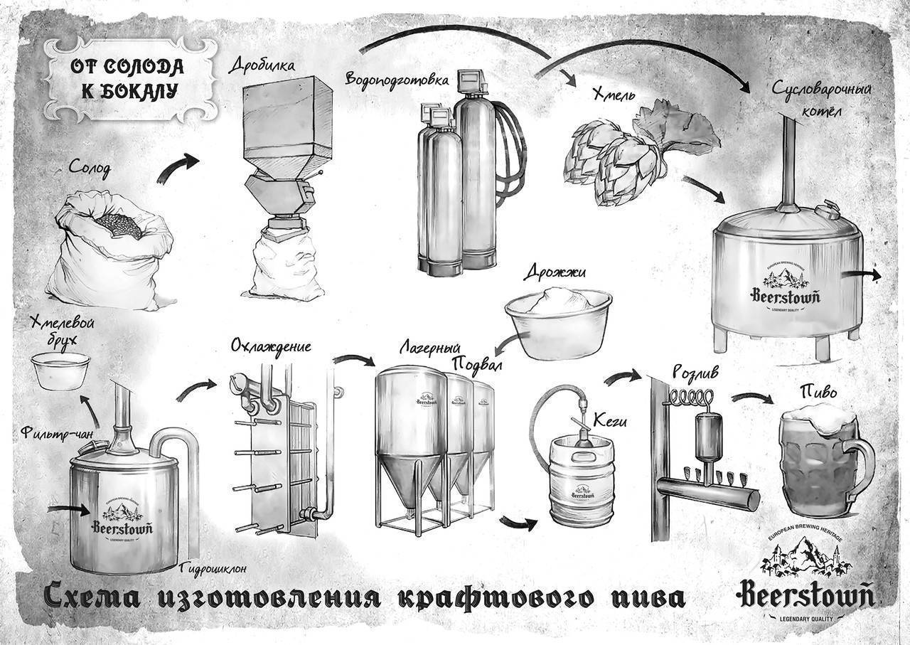 Этапы пивоварения схема