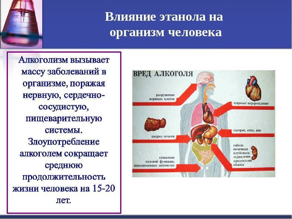 Орган воздействия. Токсическое действие этилового спирта на организм человека. Воздействие на организм этилового спирта. Воздействие этанола на организм человека. Воздействие спиртов на организм человека.