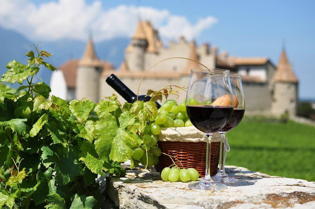 Виноделие в регионе божоле (beaujolais) во франции: районы, вина и сорта винограда