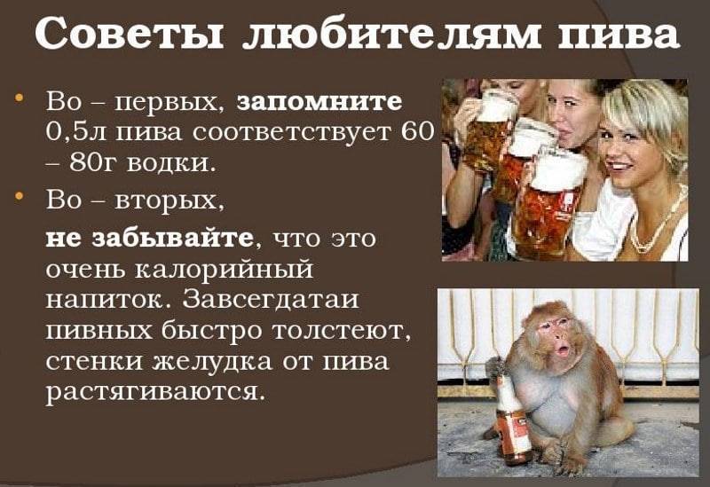 Как часто можно пить пиво