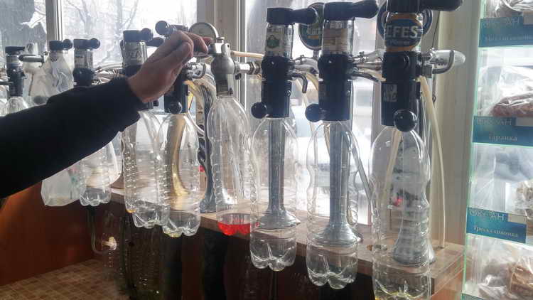 Срок годности и хранения пива: разливного в кегах, живого в пластиковой бутылке