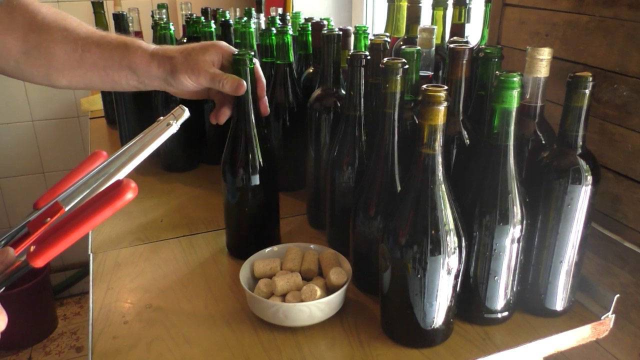 Брожение — основа виноделия