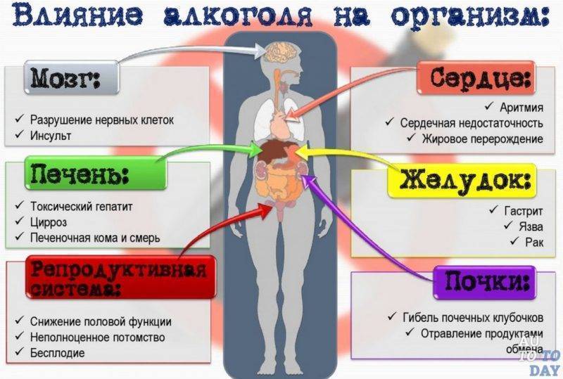 Как происходят месячные внутри организма женщины схема