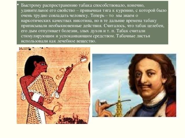 История табака картинки