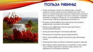 Эликсир красоты и молодости: польза и вред красного вина для женщин