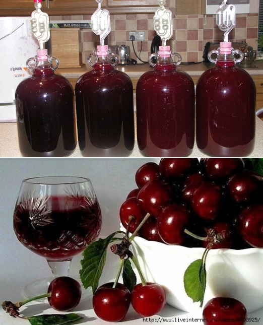 Вино из вишни в домашних условиях по белой и красной схеме