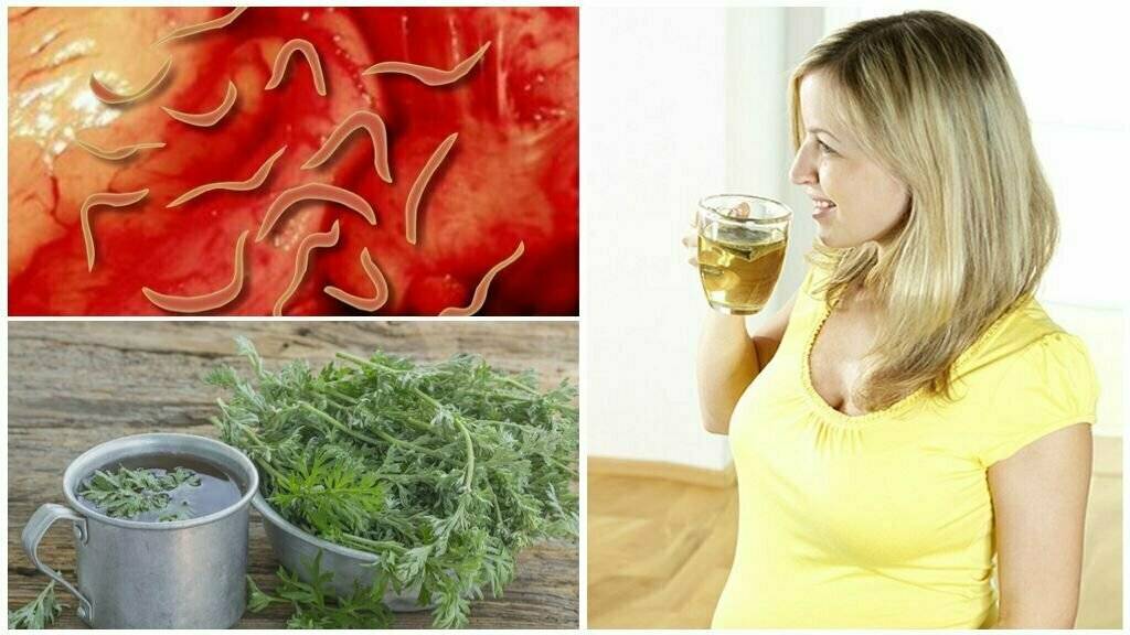 10 методов, как почистить кровь в домашних условиях с помощью народных средств и продуктов питания