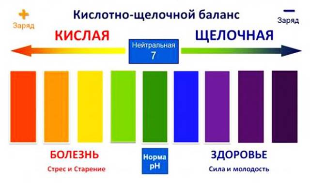 Водородный показатель (ph) некоторых распространенных продуктов питания. кислотность.