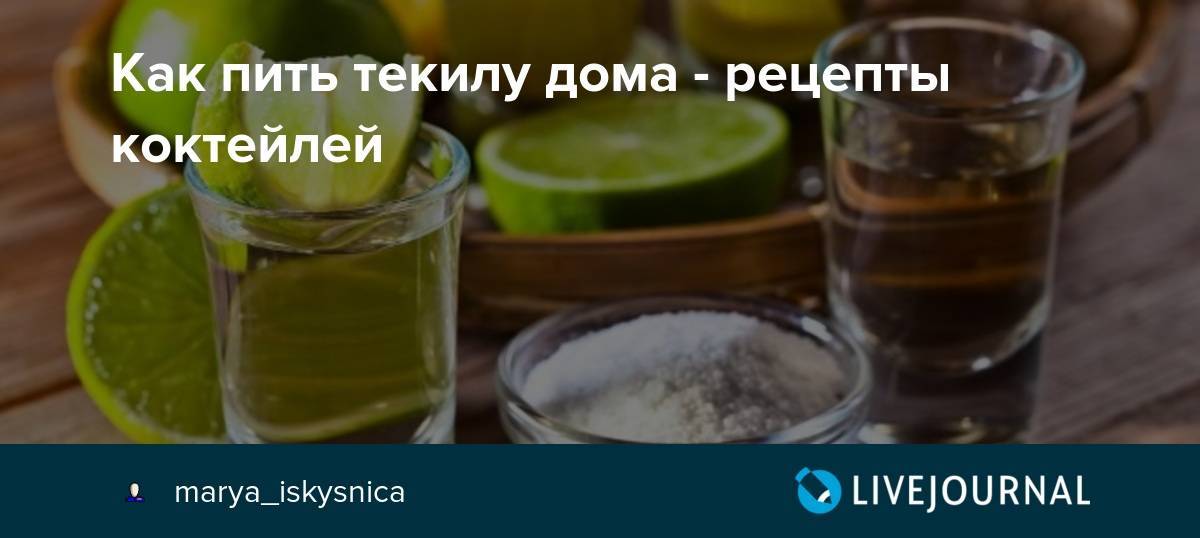 Текила как пить. Как пить текилу. Алоэ для текилы. Текила приготовление в домашних условиях. Как правильно пить текилу.