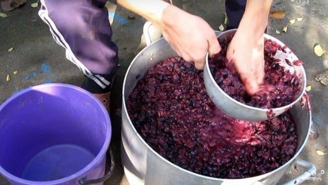 Чача из винограда в домашних условиях - как готовить крепкий напиток из жмыха и этапы перегонки