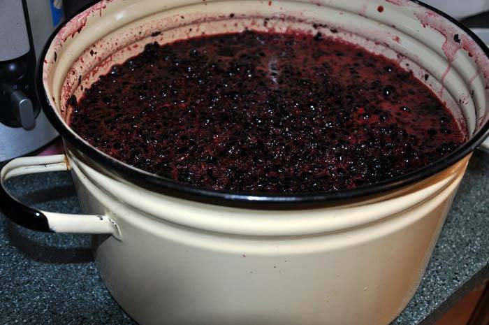 Домашнее вино из компота: экономия средств и тонкий вкус