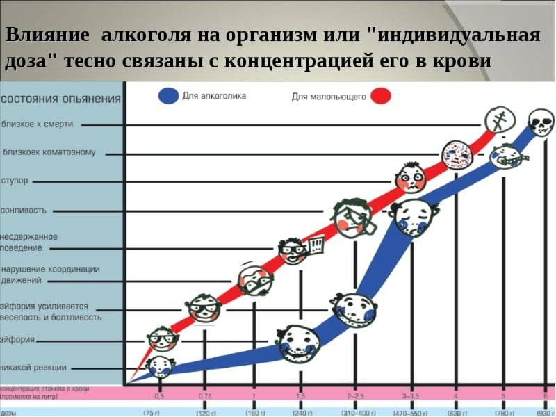 Смертельная доза алкоголя в промилле для человека