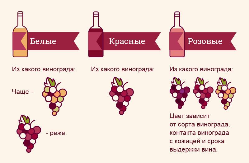 Виды вина: основные и дополнительные классификации напитка