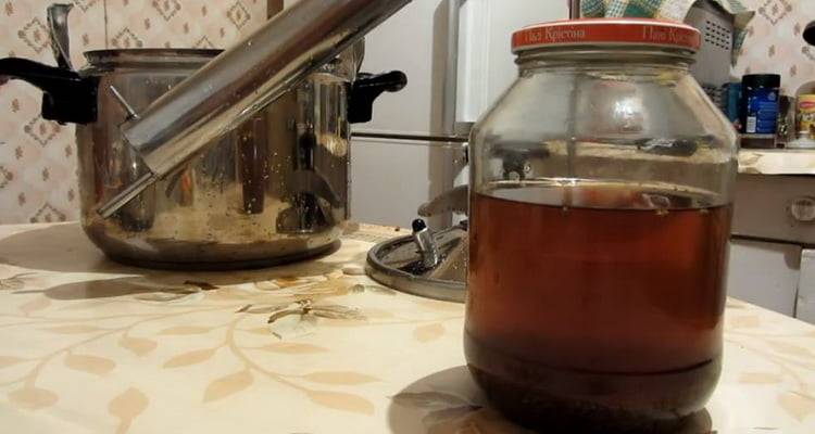 Анисовая водка, приготовленная в домашних условиях. как приготовить анисовую водку в домашних условиях
