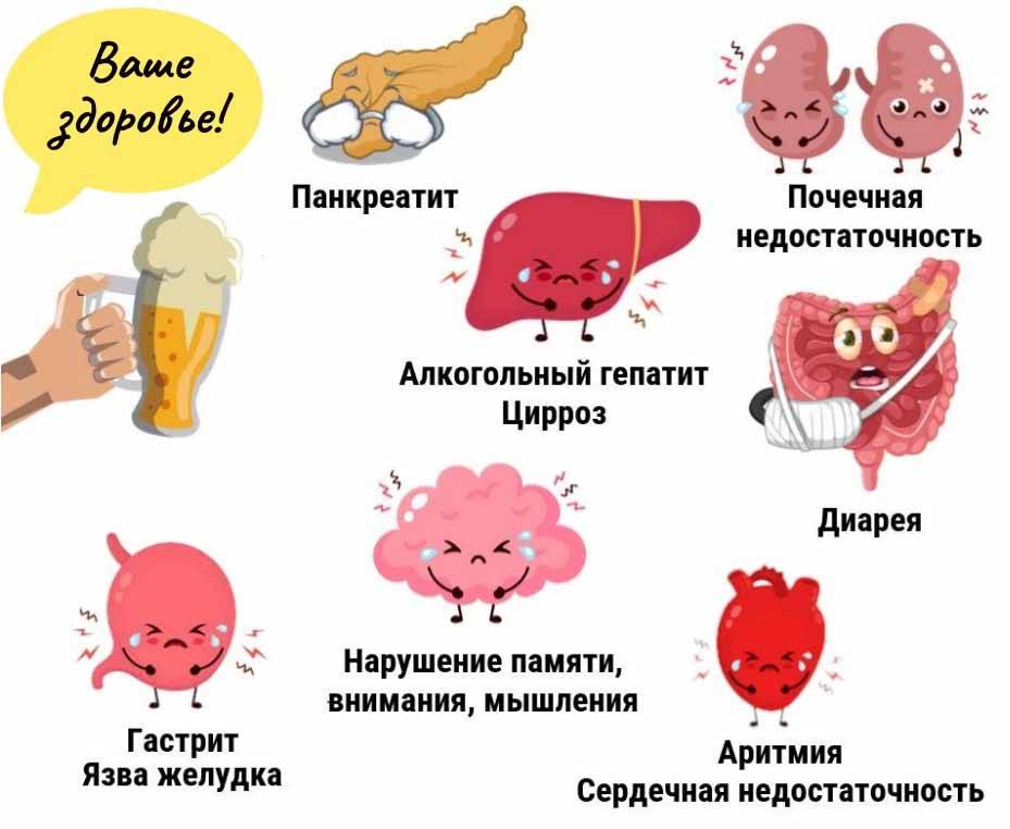 Влияние алкоголя на почки презентация