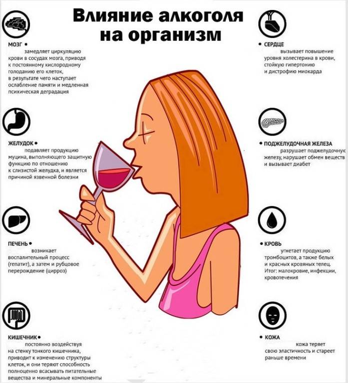Польза и вред красного вина для здоровья женщин и мужчин