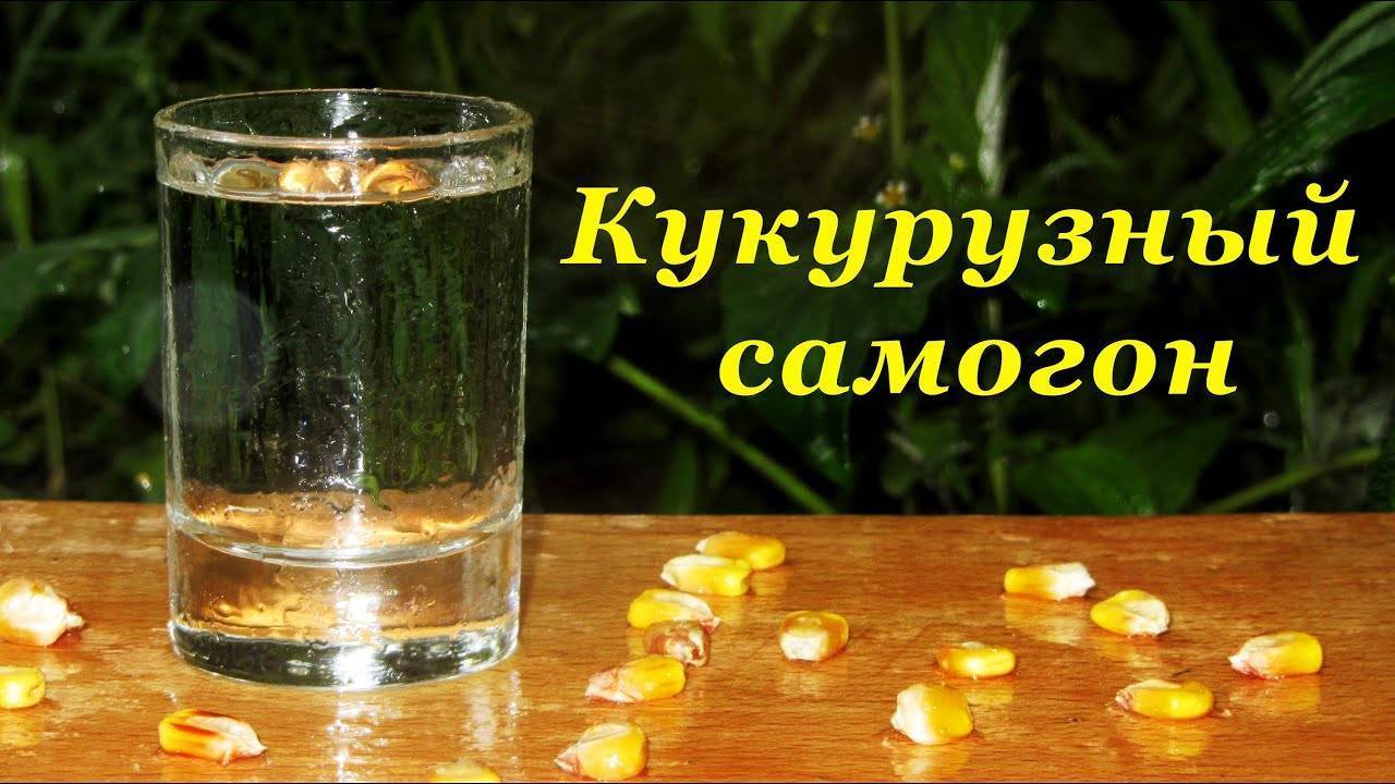 Самогон из кукурузы в домашних условиях: простые рецепты