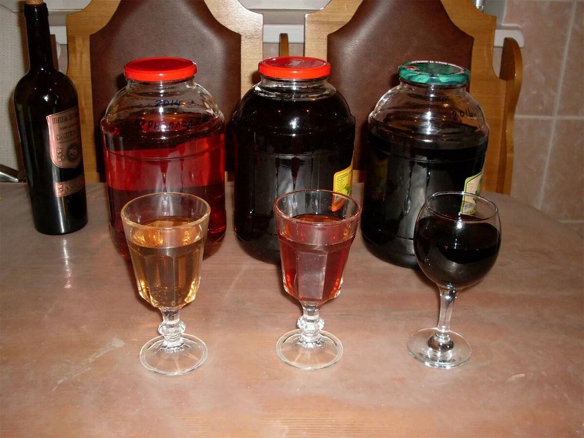 Вино из черноплодной рябины в домашних условиях