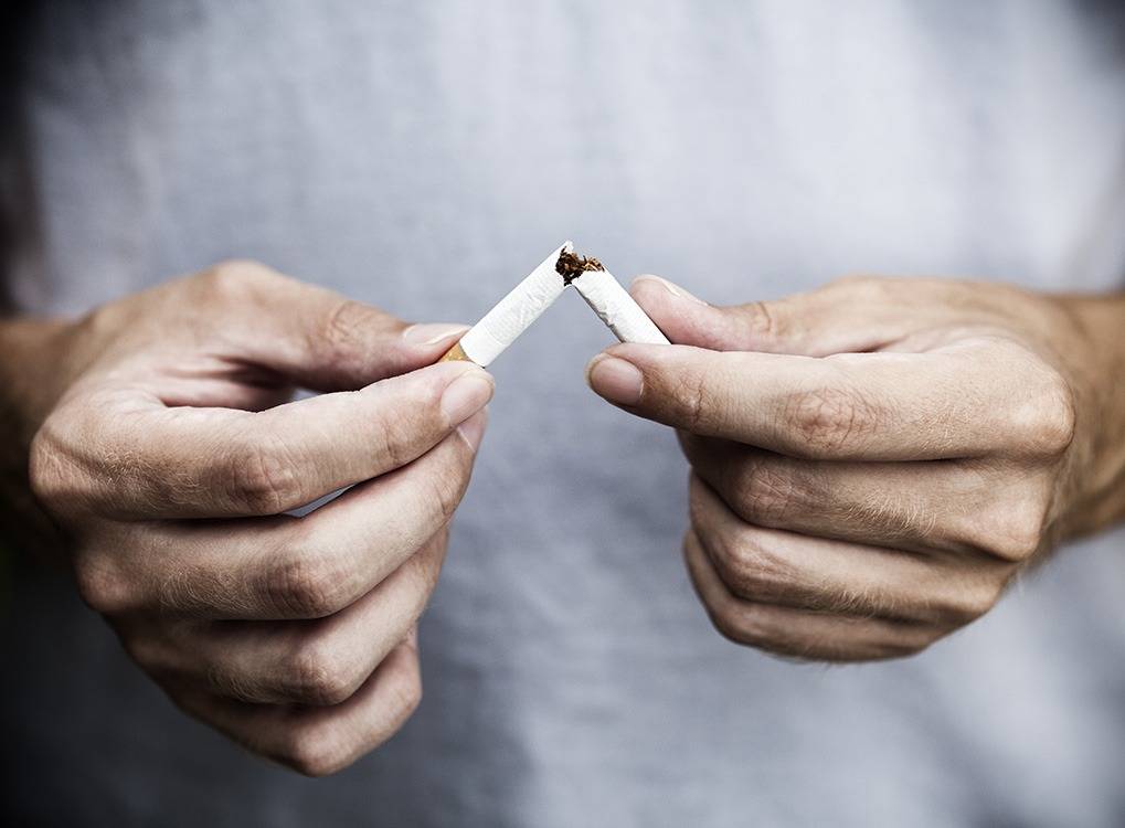 Что можно покурить в домашних условиях, если нет сигарет?