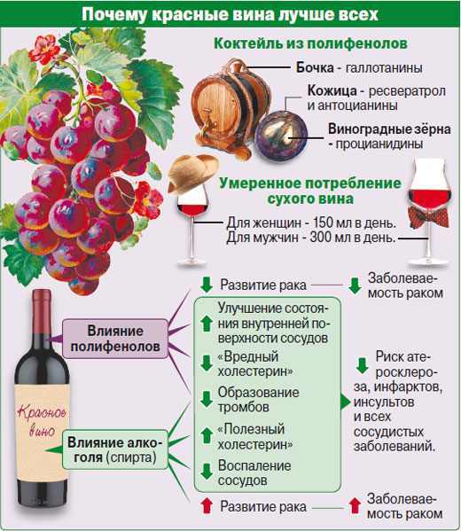 Безалкогольное вино - состав, технология деалкоголизации, полезные и вредные свойства
