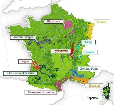 Особенности производства и классификация французских вин