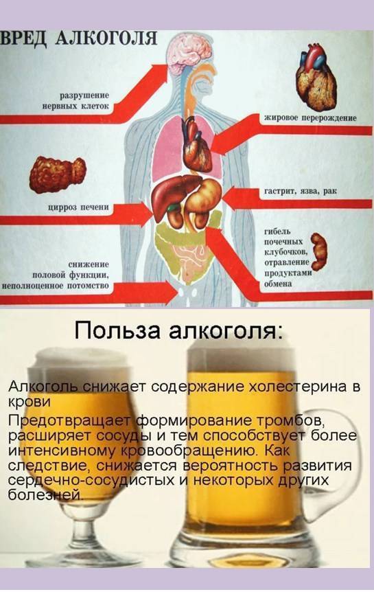 Напиток болит. Алкоголь полезен.