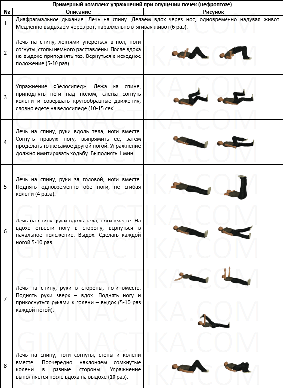 Лфк при пиелонефрите комплекс упражнений с картинками