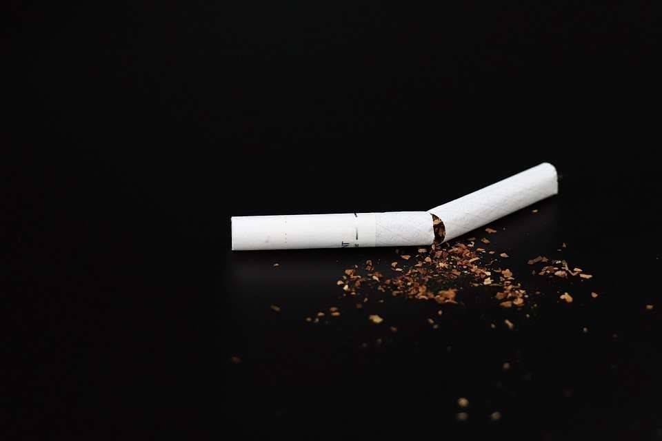​50 интересных фактов о табаке и курении — общенет