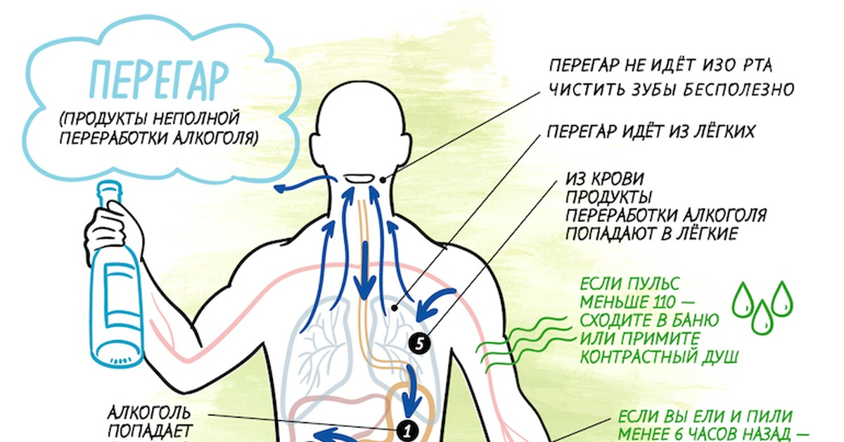 Как срочно убрать запах изо рта