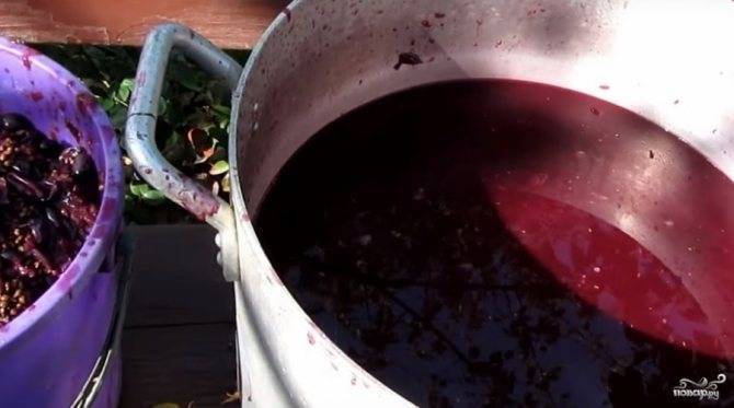 Как приготовить самогон из винограда в домашних условиях
