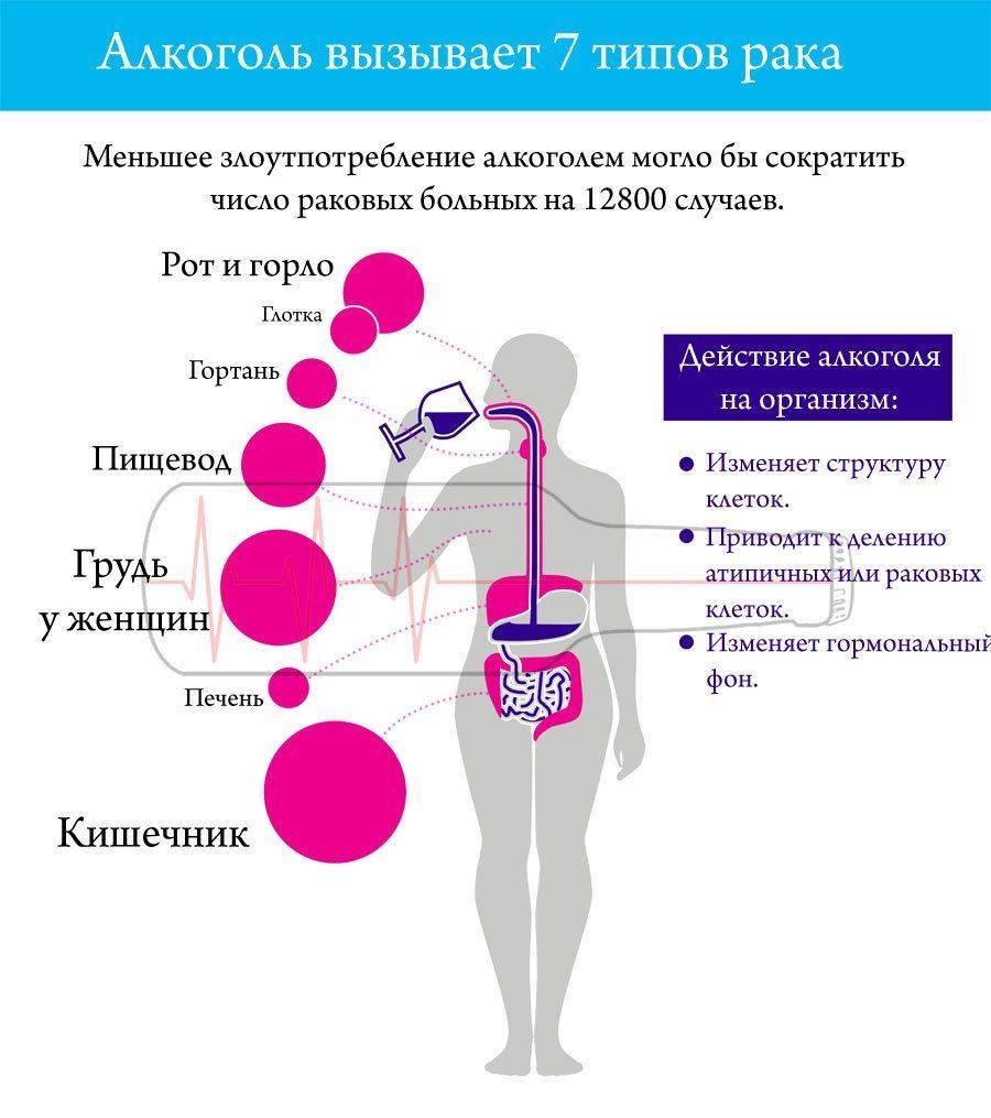 Спиртное синклера как попасть биошок