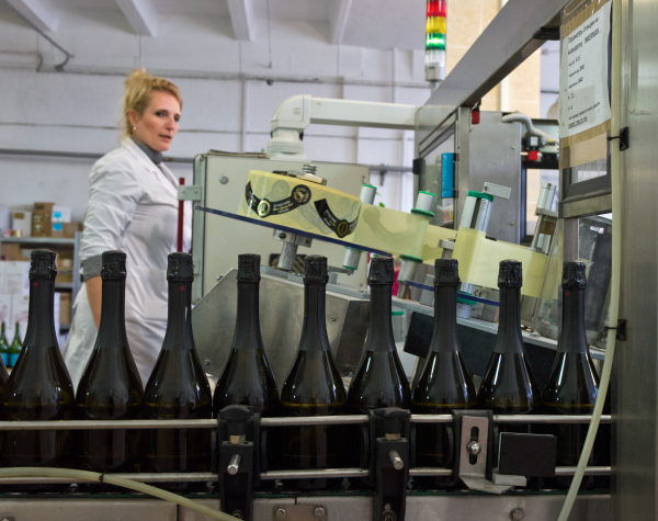 Завод шампанских вин "золотая балка". "золотая балка": виды игристых вин, отзывы, цены
