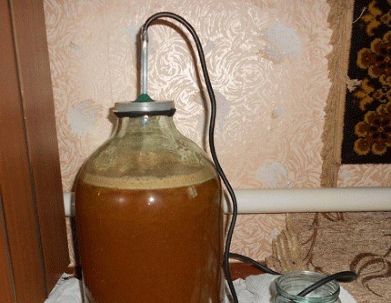 Вино из черной смородины: простые пошаговые рецепты в домашних условиях, польза и вред