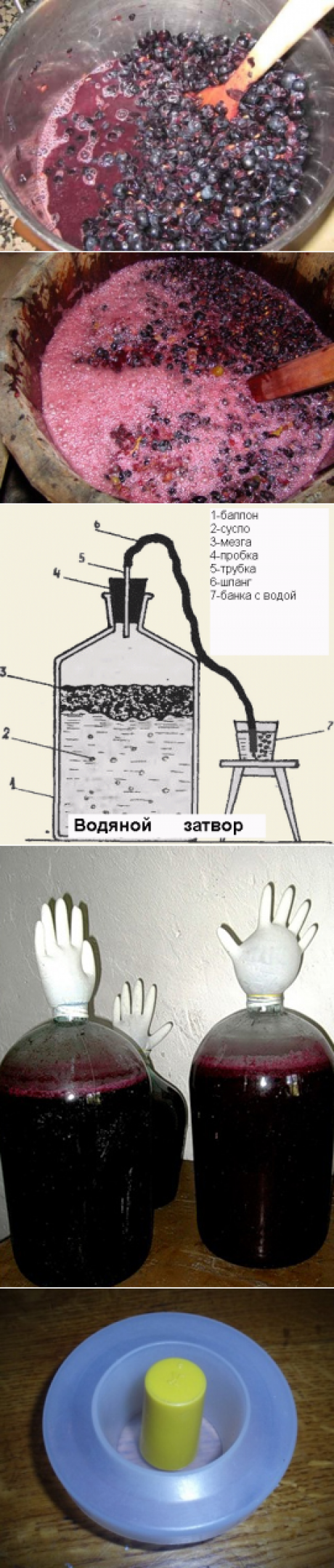 Вино простой рецепт пошаговый. Рецепт вина. Вино из винограда своими руками. Вино из винограда Изабелла в домашних условиях простой. Вино домашнее из винограда простой рецепт